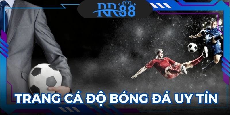 Trang Cá Độ Bóng Đá Uy Tín